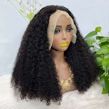 Double Drawn 13*4 Lace Wig Kinky Curl Lace Wig Color NC 300% Density